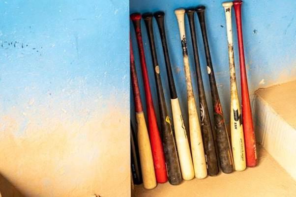 mlb power hitters, home run betting mlb, top mlb sluggers, baseball home run tips, mlb betting predictions, major league baseball power hitters, amplify home run bets, baseball betting odds, mlb season home run leaders, betting on mlb home runs